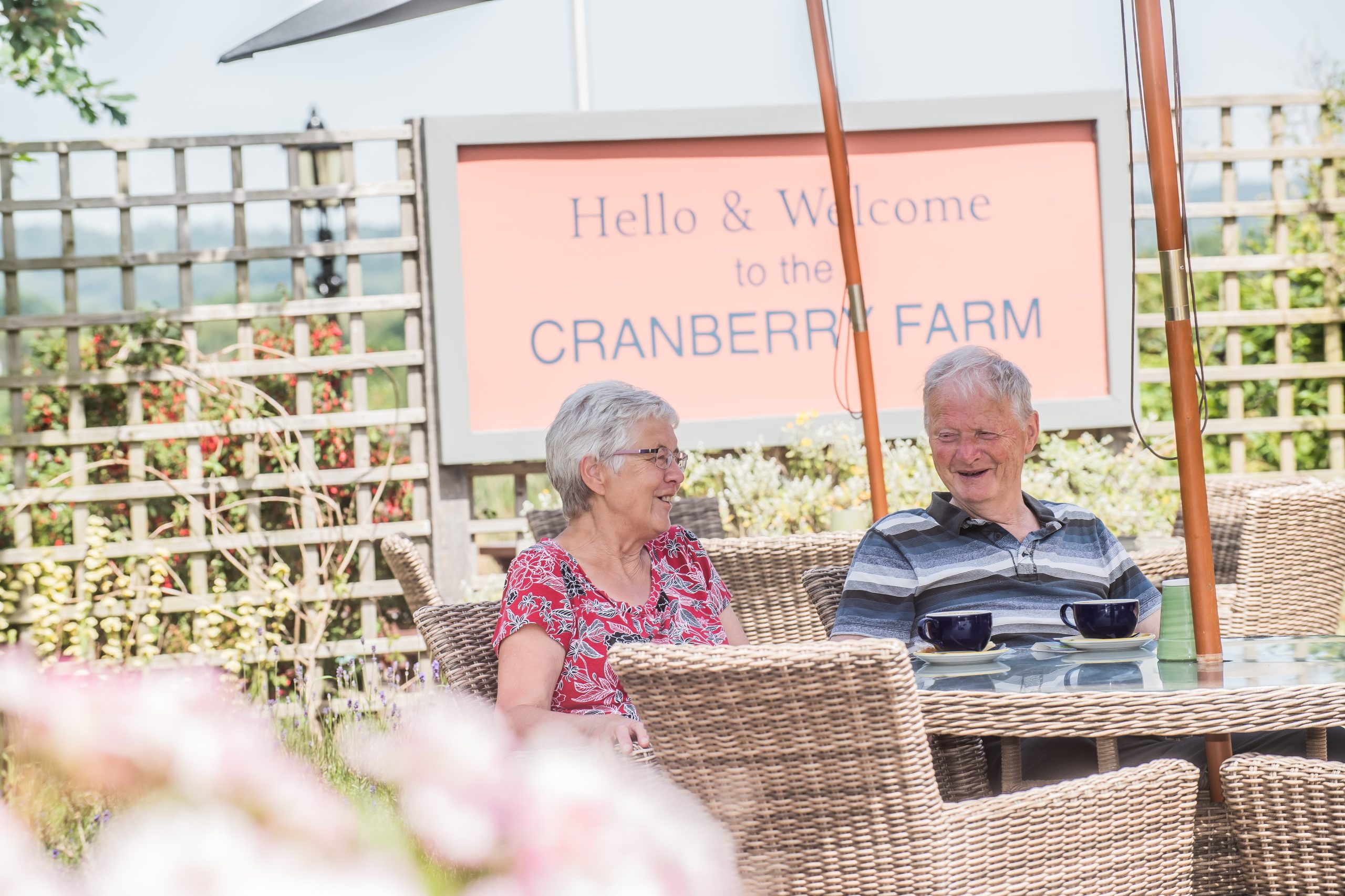 Cranberry Farm